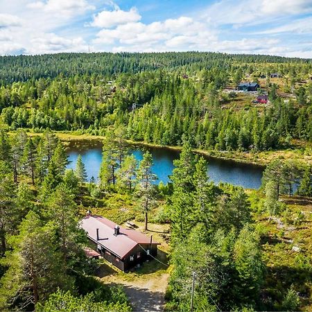 Ro I Sjelen. Hytte Til Leie Pa Skrim. Kongsberg Exterior foto