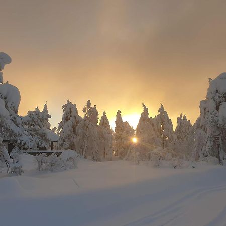 Ro I Sjelen. Hytte Til Leie Pa Skrim. Kongsberg Exterior foto