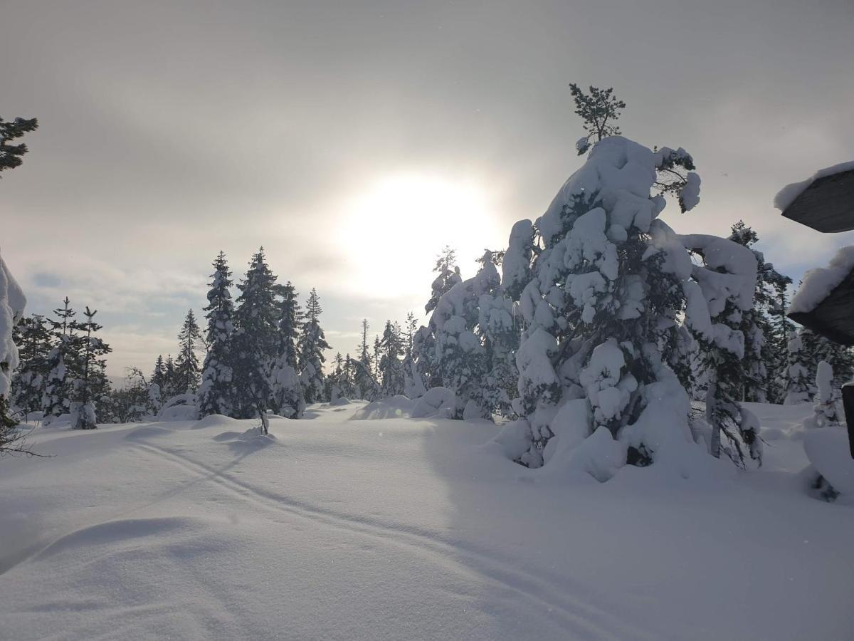 Ro I Sjelen. Hytte Til Leie Pa Skrim. Kongsberg Exterior foto