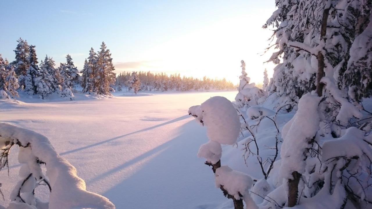 Ro I Sjelen. Hytte Til Leie Pa Skrim. Kongsberg Exterior foto