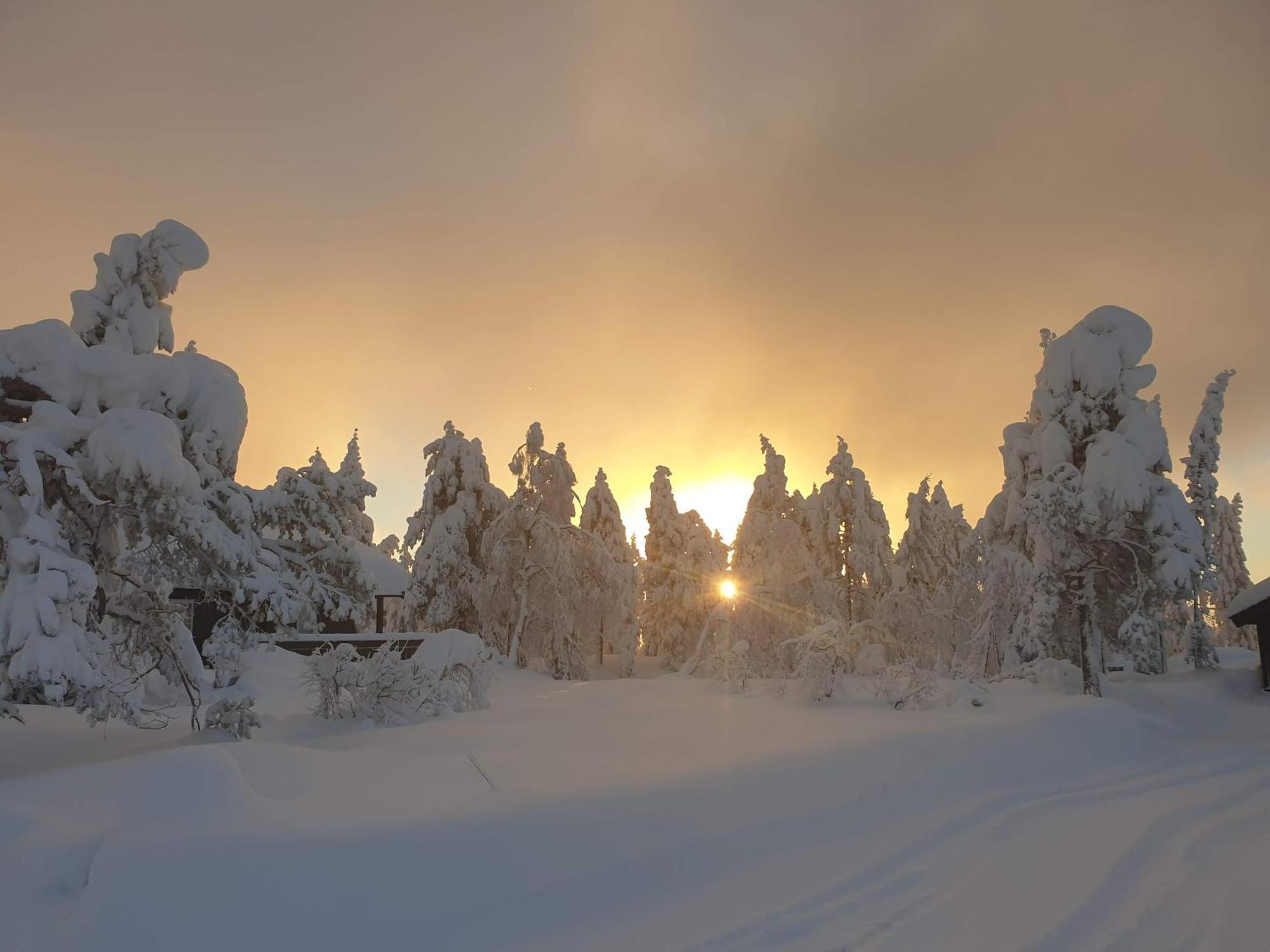 Ro I Sjelen. Hytte Til Leie Pa Skrim. Kongsberg Exterior foto