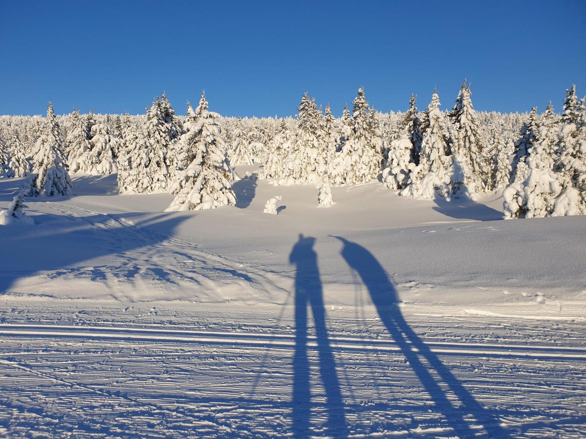 Ro I Sjelen. Hytte Til Leie Pa Skrim. Kongsberg Exterior foto