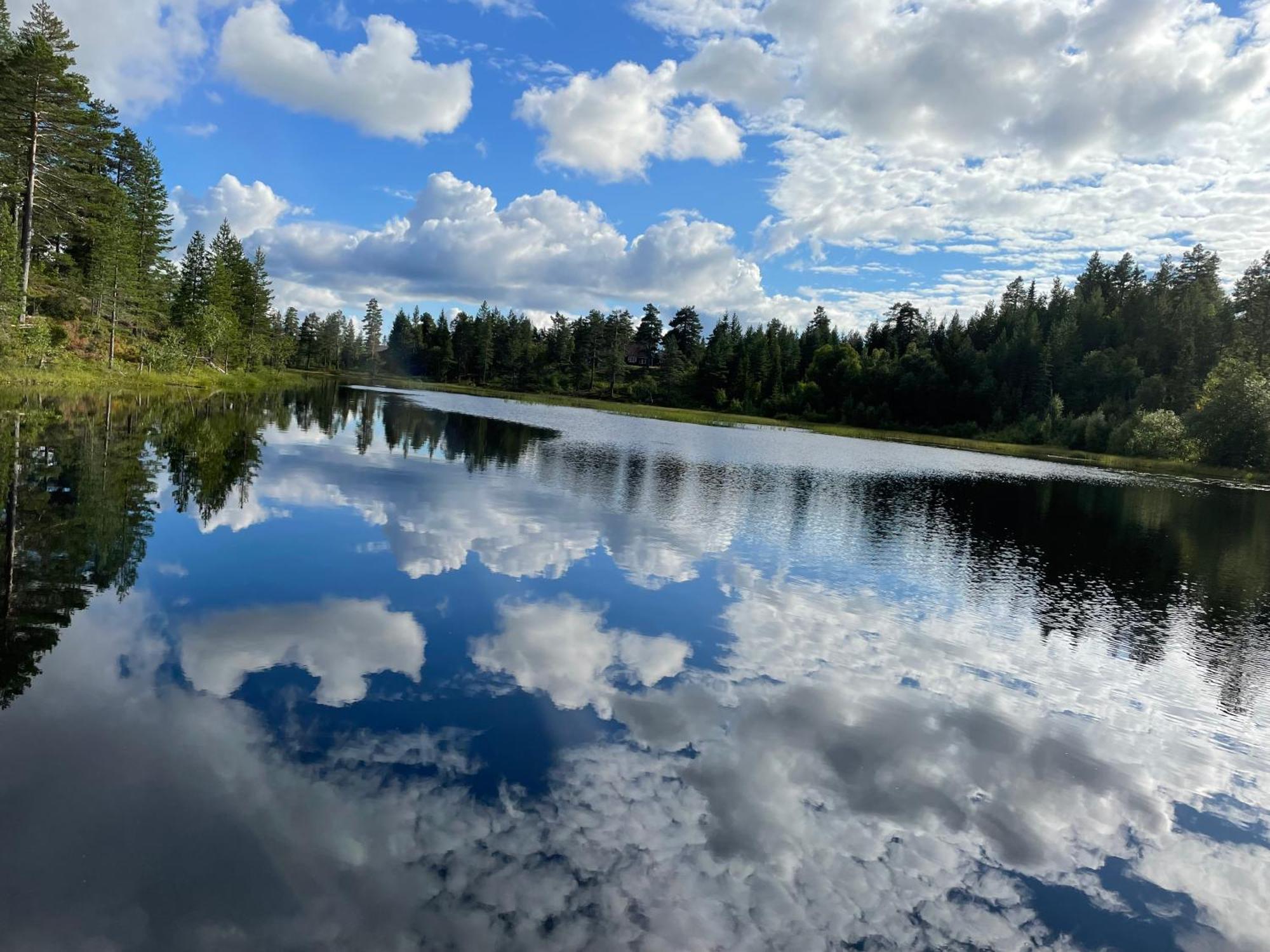 Ro I Sjelen. Hytte Til Leie Pa Skrim. Kongsberg Exterior foto