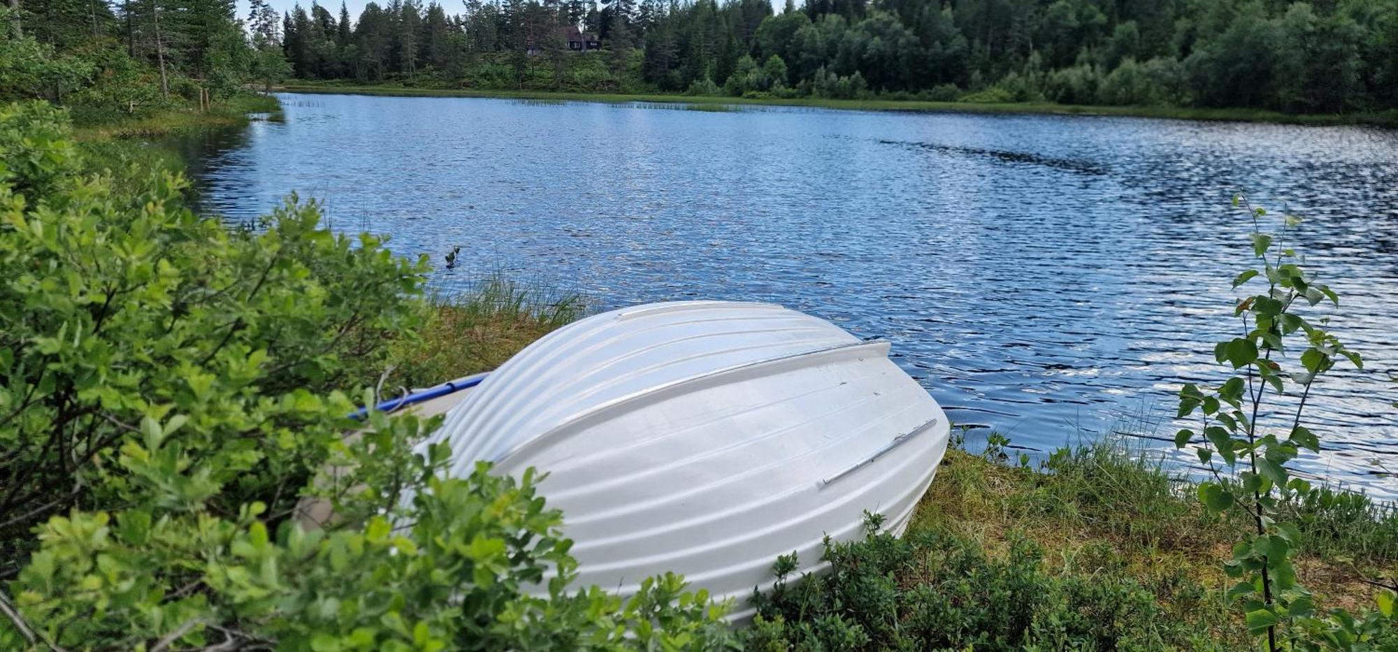 Ro I Sjelen. Hytte Til Leie Pa Skrim. Kongsberg Exterior foto
